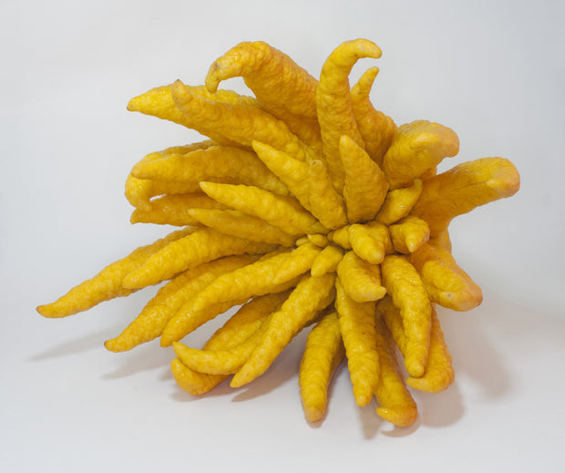 Buddhas Hand Puree - 30 lb