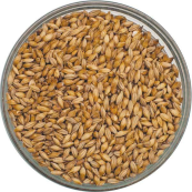 Vienna Malt