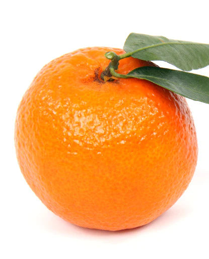 Orange Natural Flavor