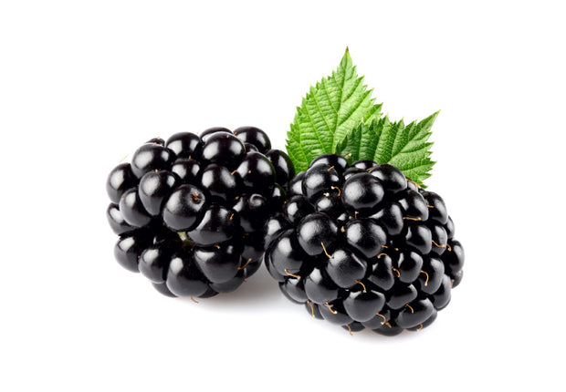 Blackberry Puree, Aseptic